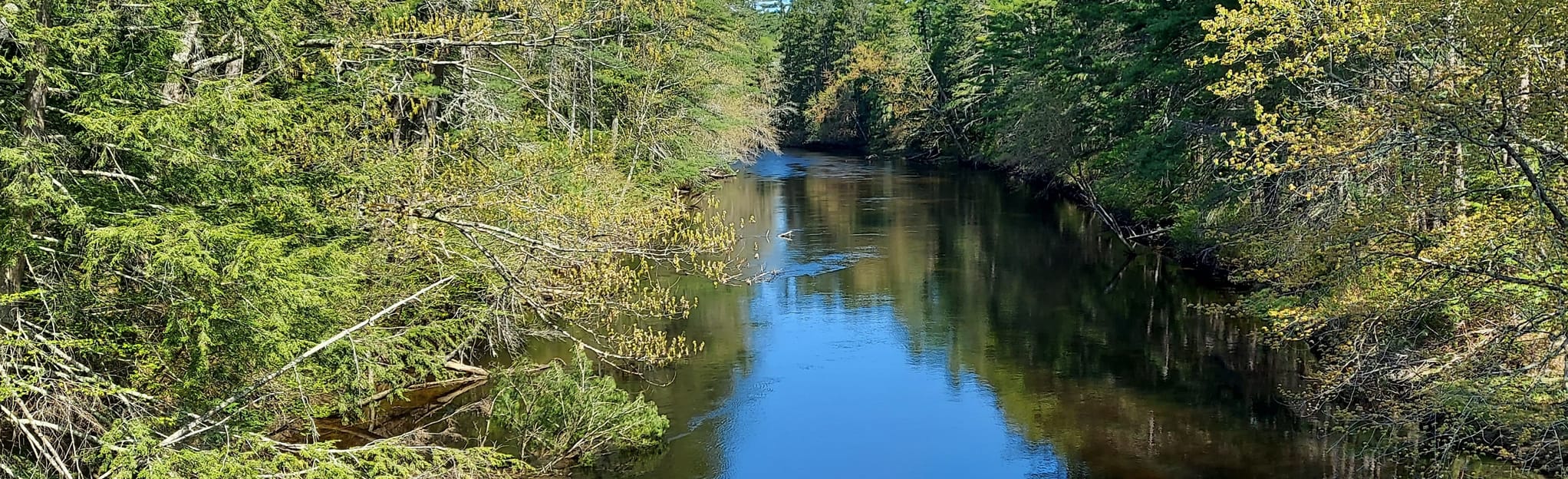 Ashuelot Rail Trail 174 Reviews, Map New Hampshire AllTrails