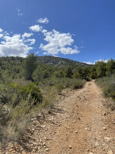 Best Cave Trails in Sierra de Irta Nature Park AllTrails