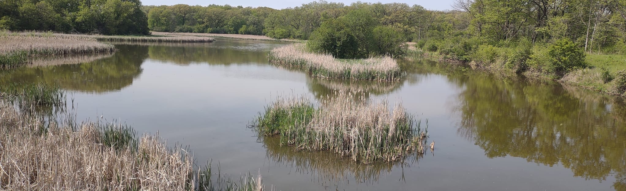 Red Trail from Busse Park West 81 Reviews, Map Illinois AllTrails