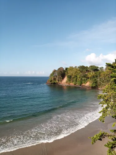 10 Best Trails and Hikes in Trinidad and Tobago | AllTrails