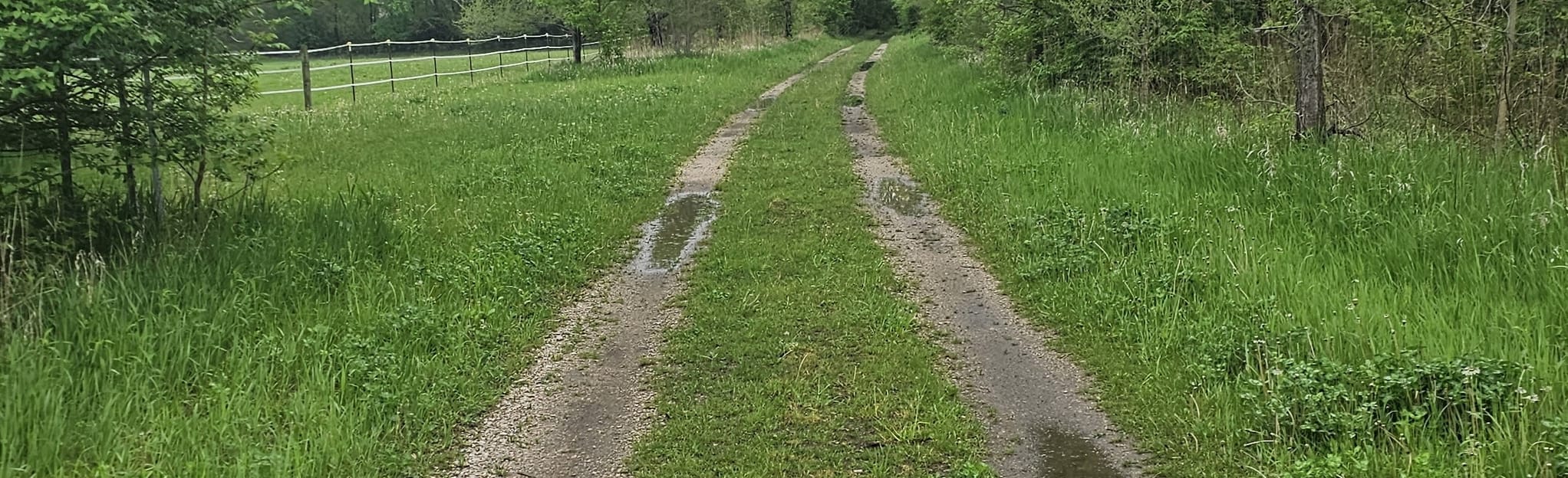 Morris Wetlands 13 Reviews Map - EyJidWNrZXQiOiJhc3NldHMuYWxsdHJhaWxzLmNvbSIsImtleSI6InVwbG9hZHMvcGhvdG8vaW1hZ2UvNTk0MjgwMTYvMzYyNWYwZTZmMjYyMDQ2YjNiZjZkYTRkNzU4NDdjMmMuanBnIiwiZWRpdHMiOnsidG9Gb3JtYXQiOiJqcGVnIiwicmVzaXplIjp7IndpZHRoIjoyMDQ0LCJoZWlnaHQiOjYyNCwiZml0IjoiY292ZXIifSwicm90YXRlIjpudWxsLCJqcGVnIjp7InRyZWxsaXNRdWFudGlzYXRpb24iOnRydWUsIm92ZXJzaG9vdERlcmluZ2luZyI6dHJ1ZSwib3B0aW1pc2VTY2FucyI6dHJ1ZSwicXVhbnRpc2F0aW9uVGFibGUiOjN9fX0=