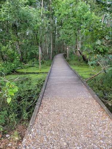 2023 Best Wild Flowers Trails in Ponchatoula  AllTrails