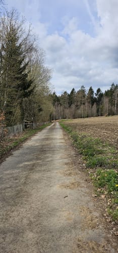 Rund um Camping Reinsfeld