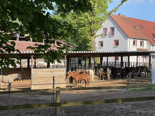 Pfälzer Moortour