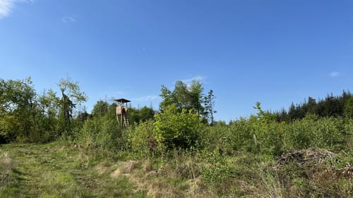 Werkhausen Waldrunde