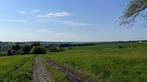 Werkhausen Waldrunde
