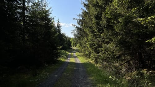 Werkhausen Waldrunde