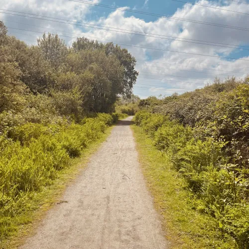 Moth trapping - Newport Wetlands - Newport Wetlands - The RSPB