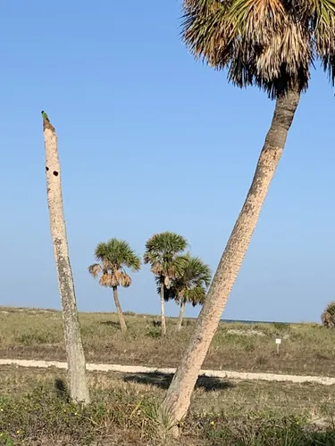 2023 Best Beach Trails in Bay Pines - EyJidWNrZXQiOiJhc3NldHMuYWxsdHJhaWxzLmNvbSIsImtleSI6InVwbG9hZHMvcGhvdG8vaW1hZ2UvNTk0NDAwNTAvZmU0NjZiNjk1MGJhODczMDg1YTNjNWJmOTAxYzU1Y2IuanBnIiwiZWRpdHMiOnsidG9Gb3JtYXQiOiJ3ZWJwIiwicmVzaXplIjp7IndpZHRoIjo1MDAsImhlaWdodCI6NTAwLCJmaXQiOiJpbnNpZGUifSwicm90YXRlIjpudWxsLCJqcGVnIjp7InRyZWxsaXNRdWFudGlzYXRpb24iOnRydWUsIm92ZXJzaG9vdERlcmluZ2luZyI6dHJ1ZSwib3B0aW1pc2VTY2FucyI6dHJ1ZSwicXVhbnRpc2F0aW9uVGFibGUiOjN9fX0=