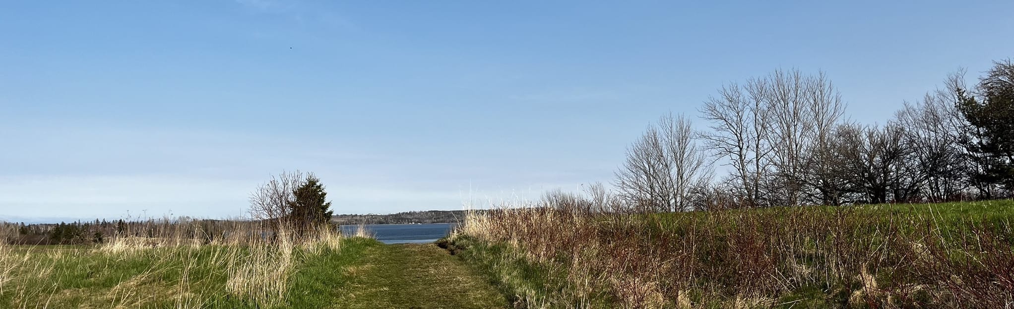 Fairmont Ridge Hiking Trail: 90 Reviews, Map - Nova Scotia, Canada ...