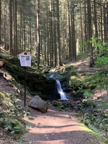 Naturpark-Weg - Kühles Tal - Friedrichroda