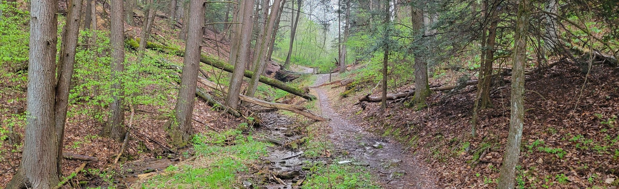 swatara state park mountain bike trails