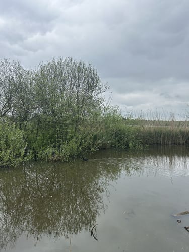 Durch den Wackelwald
