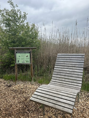 Durch den Wackelwald