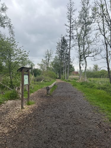 Durch den Wackelwald