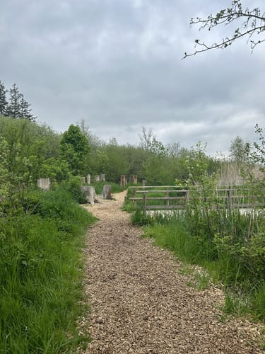 Durch den Wackelwald