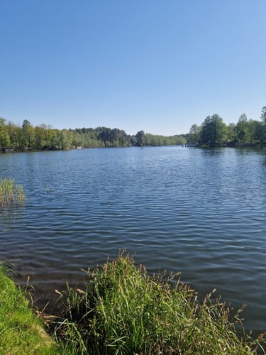 Von Bernau zum Wolletzsee