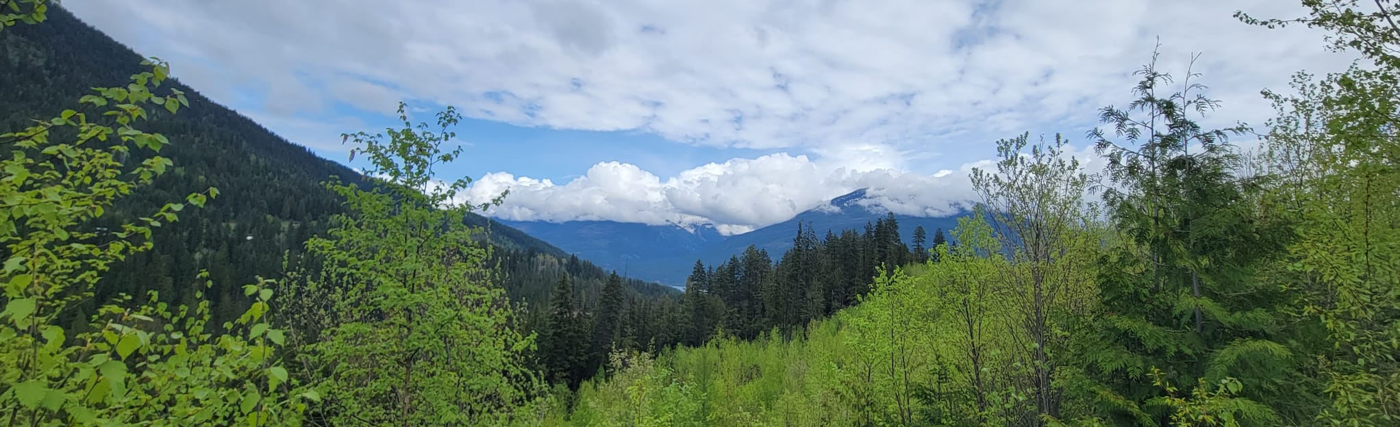 Upper Kaslo River Trail, British Columbia, Canada 74 Reviews, Map
