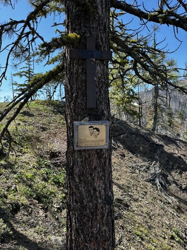 2023 Best 10 Camping Trails In Cle Elum AllTrails