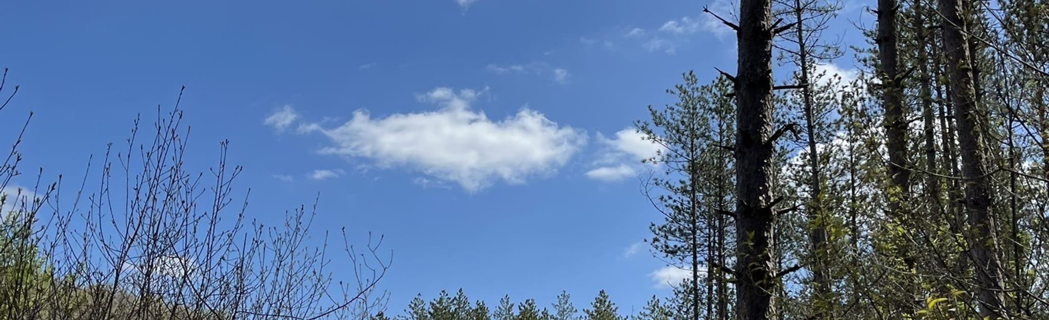 Ice Age Trail Greenbrush Segment via Glenbeulah, Wisconsin 343