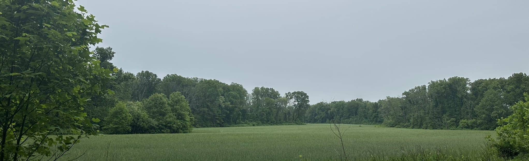 Crystal Lake Park Meadows and Trees Loop 52 Reviews, Map New Jersey AllTrails