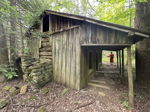 Best Hikes and Trails in Laurel Run Park AllTrails