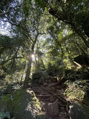 Best regions in Paraguay AllTrails