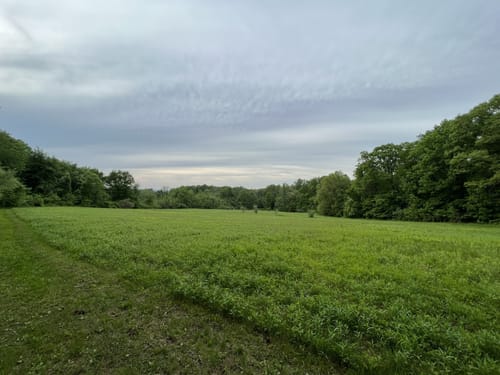 Photos of Griggstown Native Grassland Preserve Loop - New Jersey | AllTrails