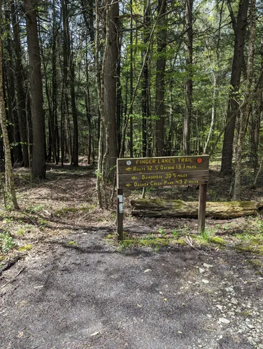 2023 Best Forest Trails in East Pharsalia AllTrails