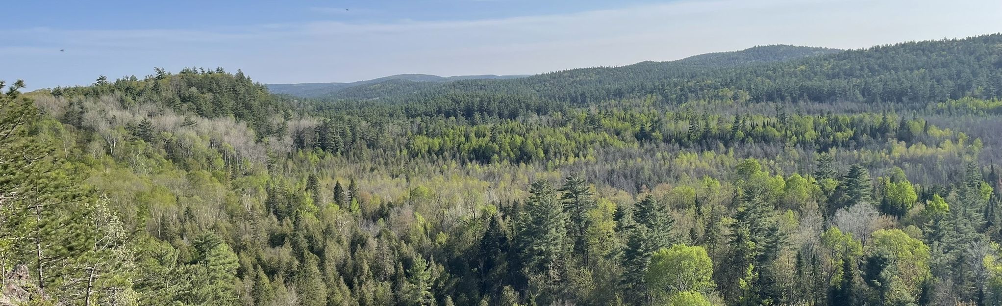 Eagles Nest via Otter Pond: 601 fotos - Ontario, Canada | AllTrails