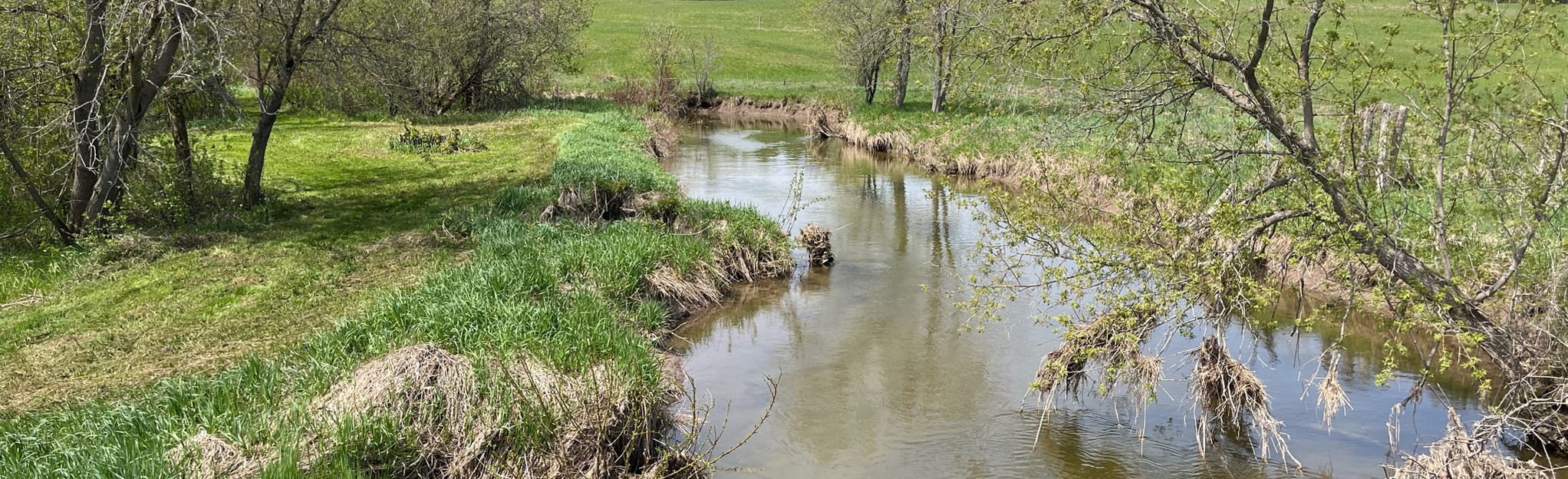 AllTrails | Bruce Trail Sydenham: Blantyre to Walter Falls: 92 Reviews ...