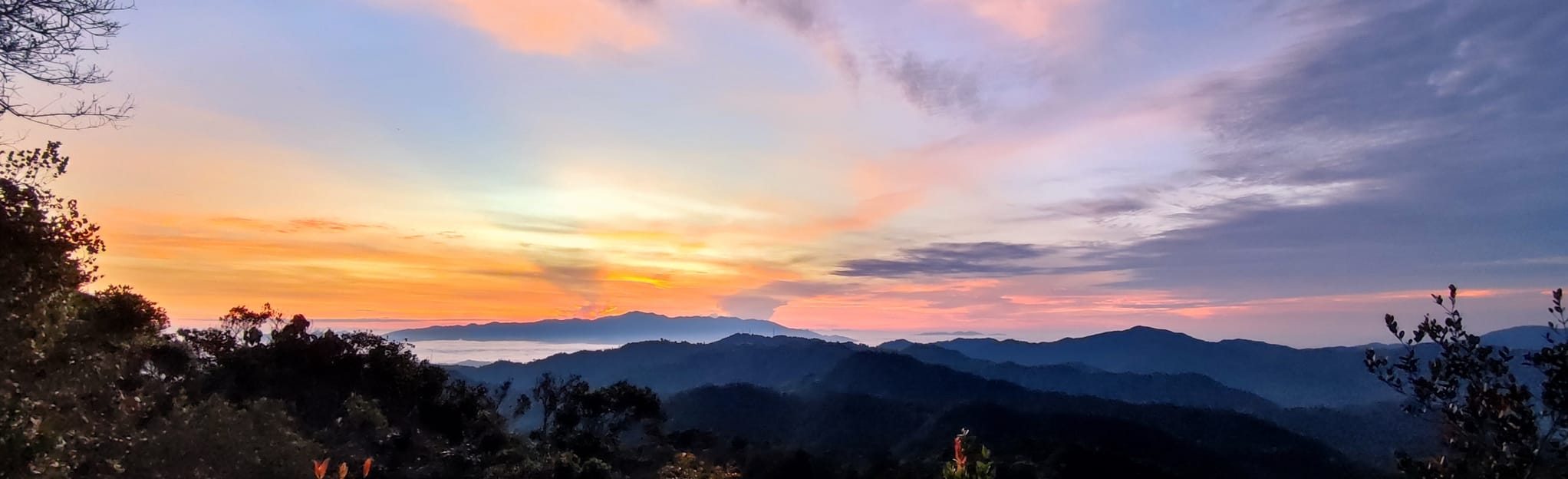 Pine Tree Hill via Pine Tree Trail: 36 Reviews, Map - Pahang, Malaysia ...