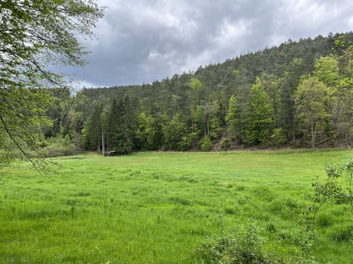 Stelzenberg Horst 1