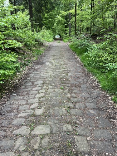 Stelzenberg Horst 1