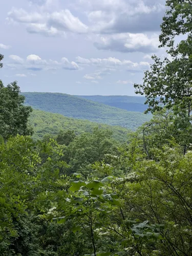 10 Best Trails and Hikes in Sewanee | AllTrails