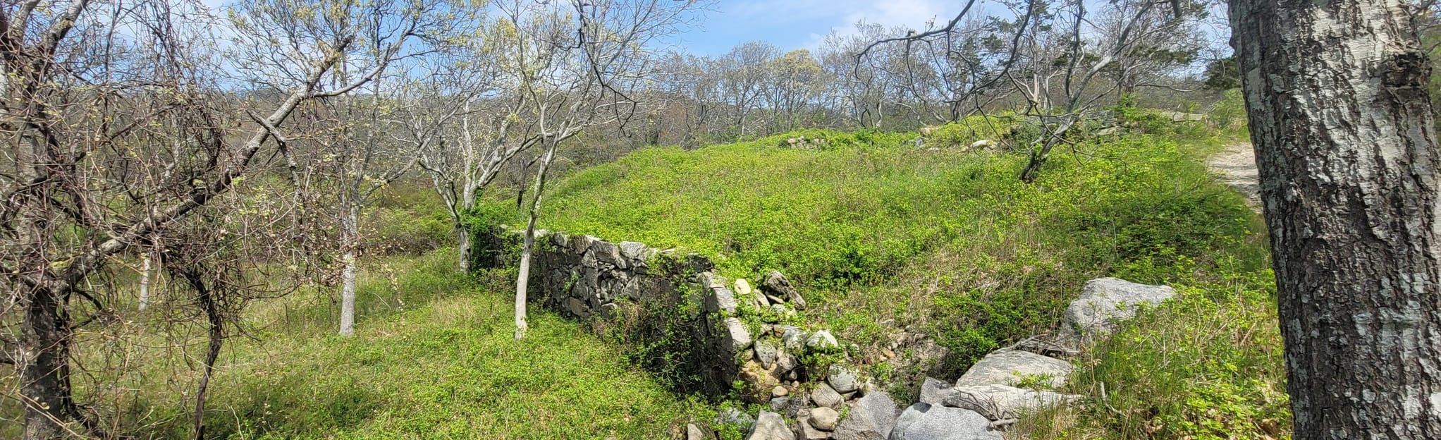 Brickyard Trail and Prospect Hill Overlook, Massachusetts 89 Reviews