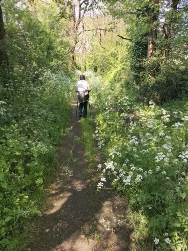 Best Walking Trails in La Gaubretière AllTrails