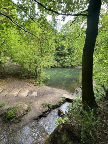 Grüner See - Nonnenstein - Neue Mühle