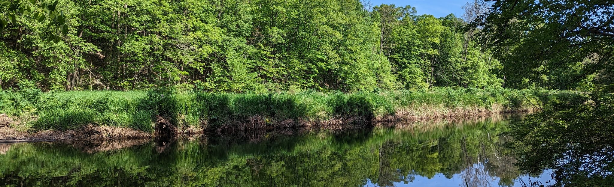 Buttermilk Falls, New Jersey 1,174 Reviews, Map AllTrails