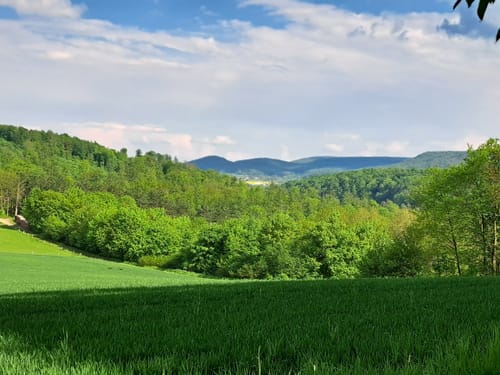 Nörtener Wald ab Nörten-Hardenberg
