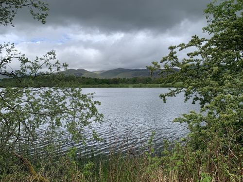 Woman fishing on the bank of Gartmorn Dam in Scotland Stock Photo - Alamy