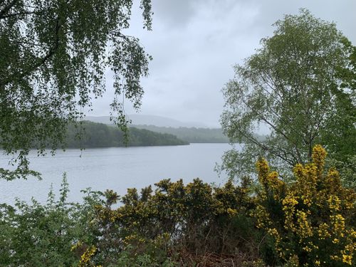 Woman fishing on the bank of Gartmorn Dam in Scotland Stock Photo - Alamy