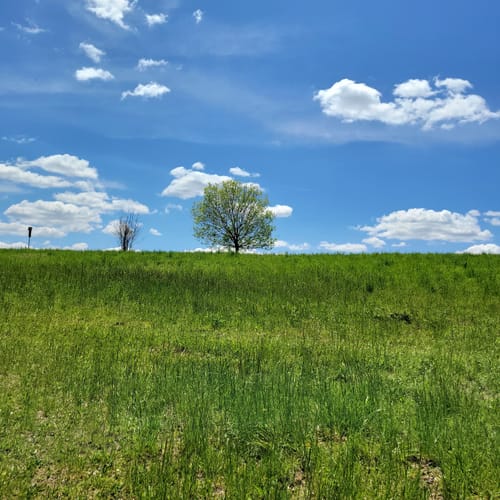 Best Hikes and Trails in Leaser Lake Park AllTrails