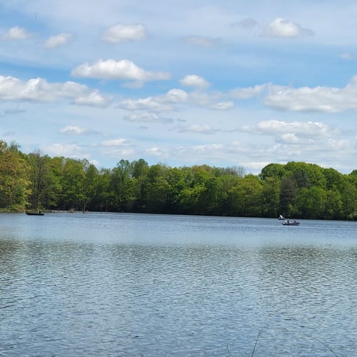 Best Hikes and Trails in Leaser Lake Park AllTrails