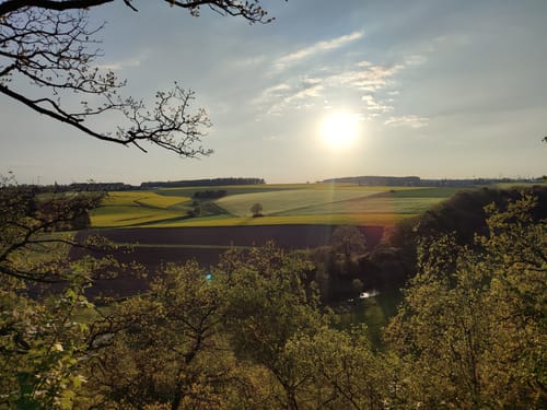 Domblick (Traumschleife)