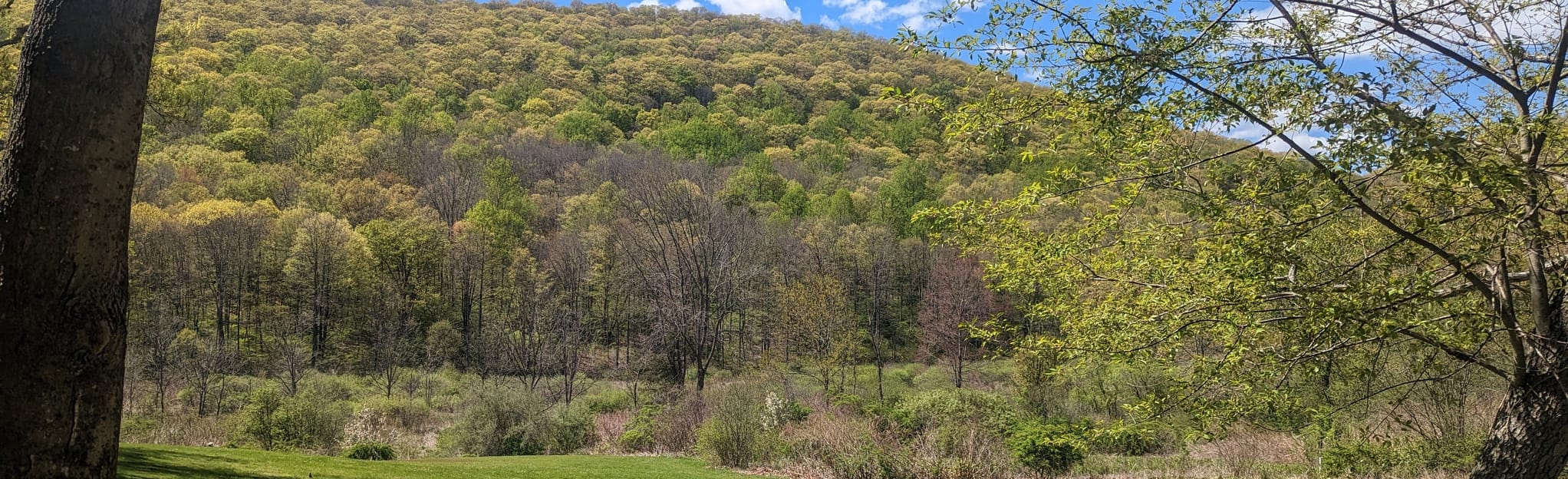 AllTrails Great Hollow Main Loop 456 Reviews, Map Connecticut