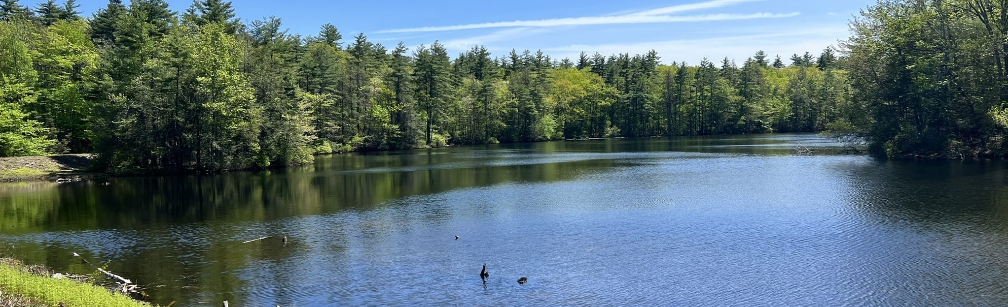 YKWD Yellow Trail, Maine 66 Reviews, Map AllTrails