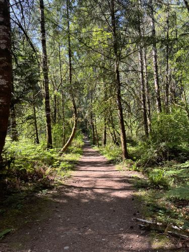 Best Hikes and Trails in McCormick Forest Park | AllTrails