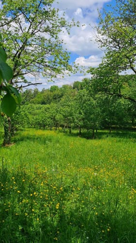 Heimatkundlicher Rundweg Fautenbach-Önsbach