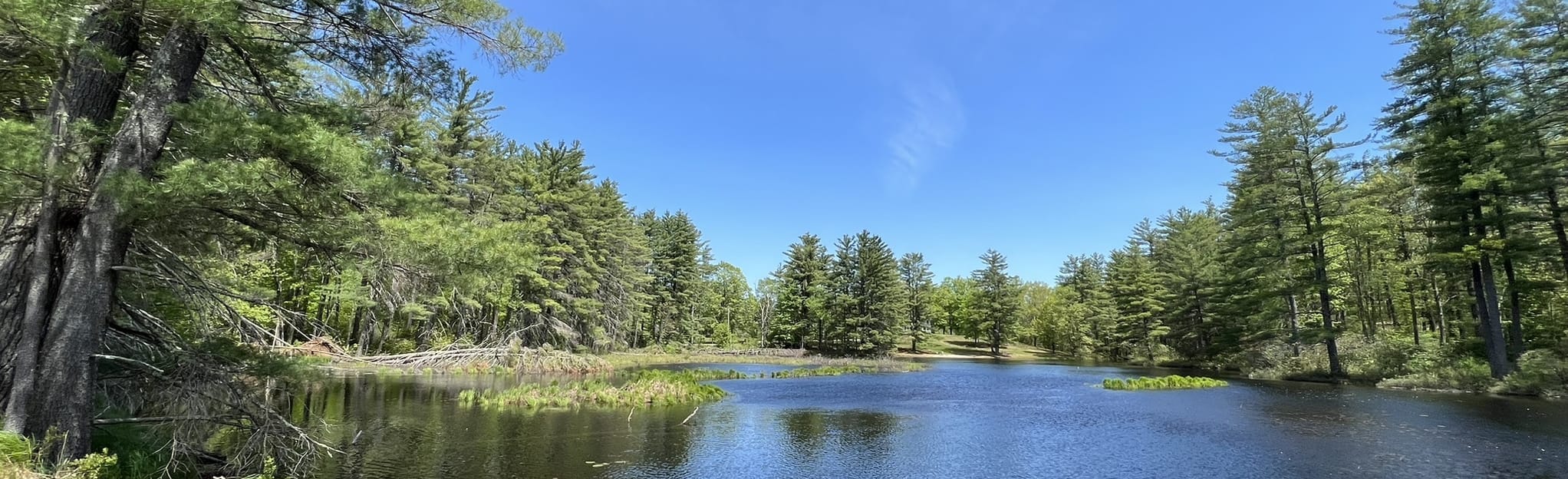 Mason Railroad Trail to Quarry Loop, New Hampshire 36 Reviews, Map